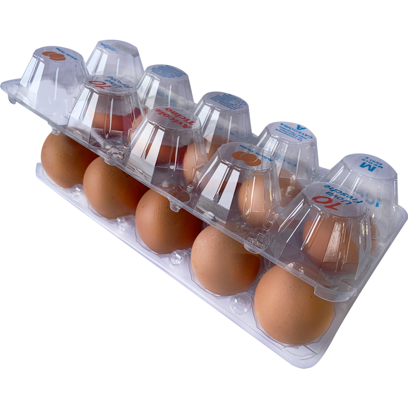 Packed Fresh Eggs
