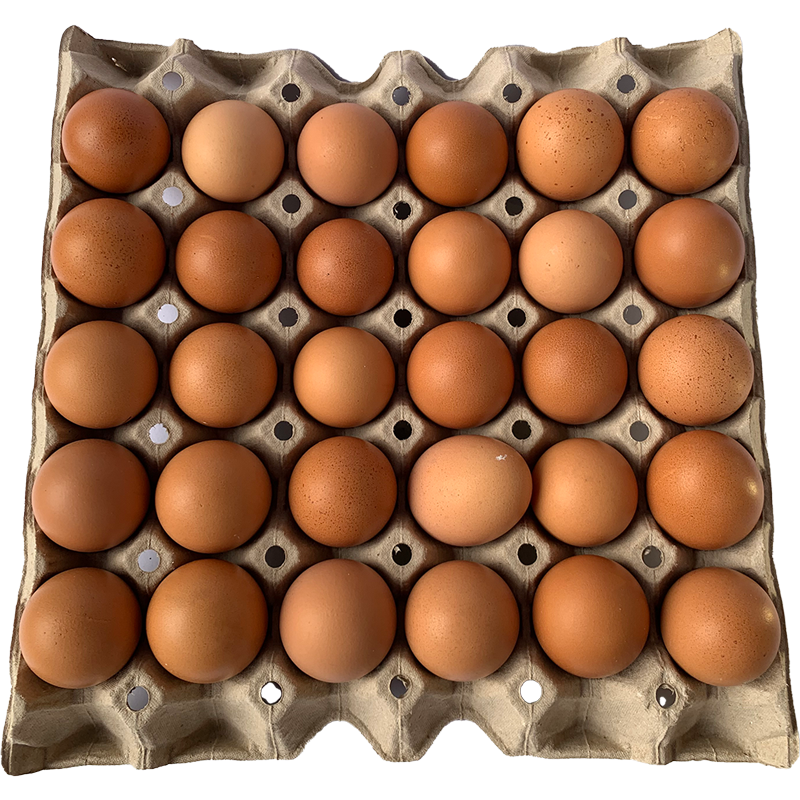 Loose Eggs