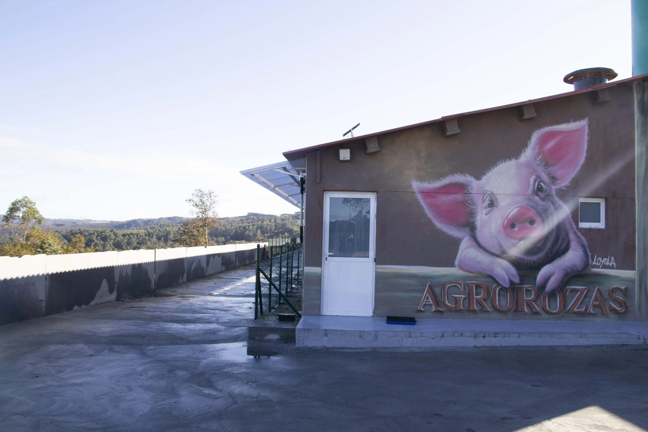 AgroRozaspasillo e muro.jpg