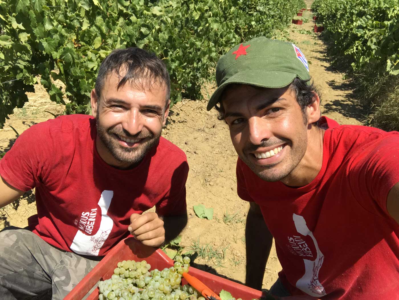 Nicola e Guido vino naturale \ vino naturale Elios sicilia