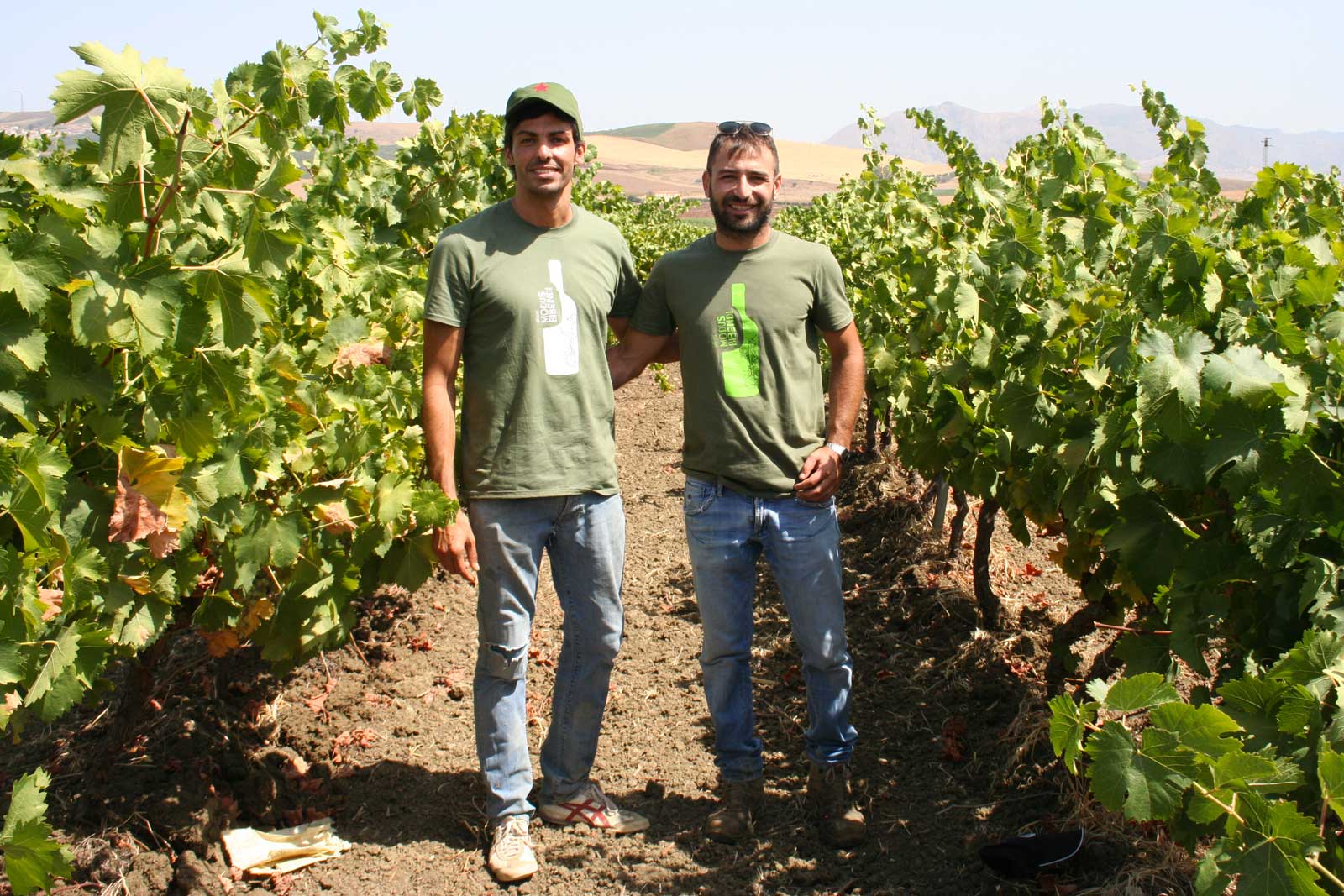 Nicola and Guido low sulhpites wine, natural wines, orange wine, glou glou wine from Sicily - low intervention winemaking in Italy Sicily