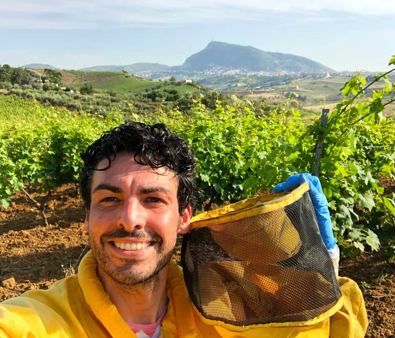 Nicola bees, honey beekeeping sicily elios