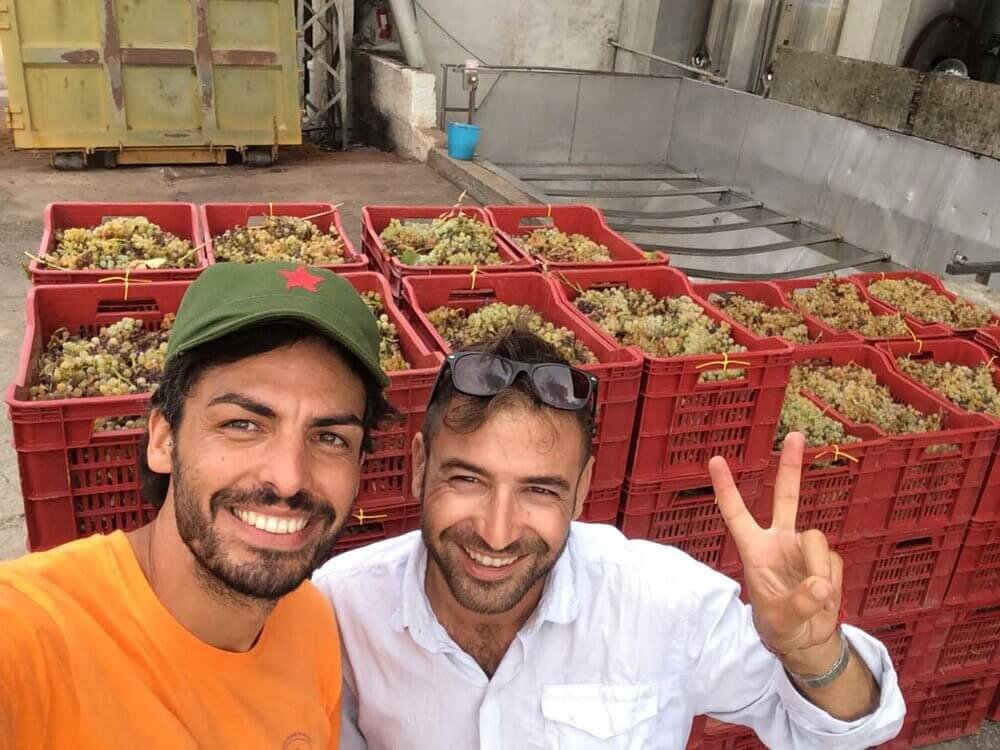 Nicola and Guido, Elios natural wines sicily