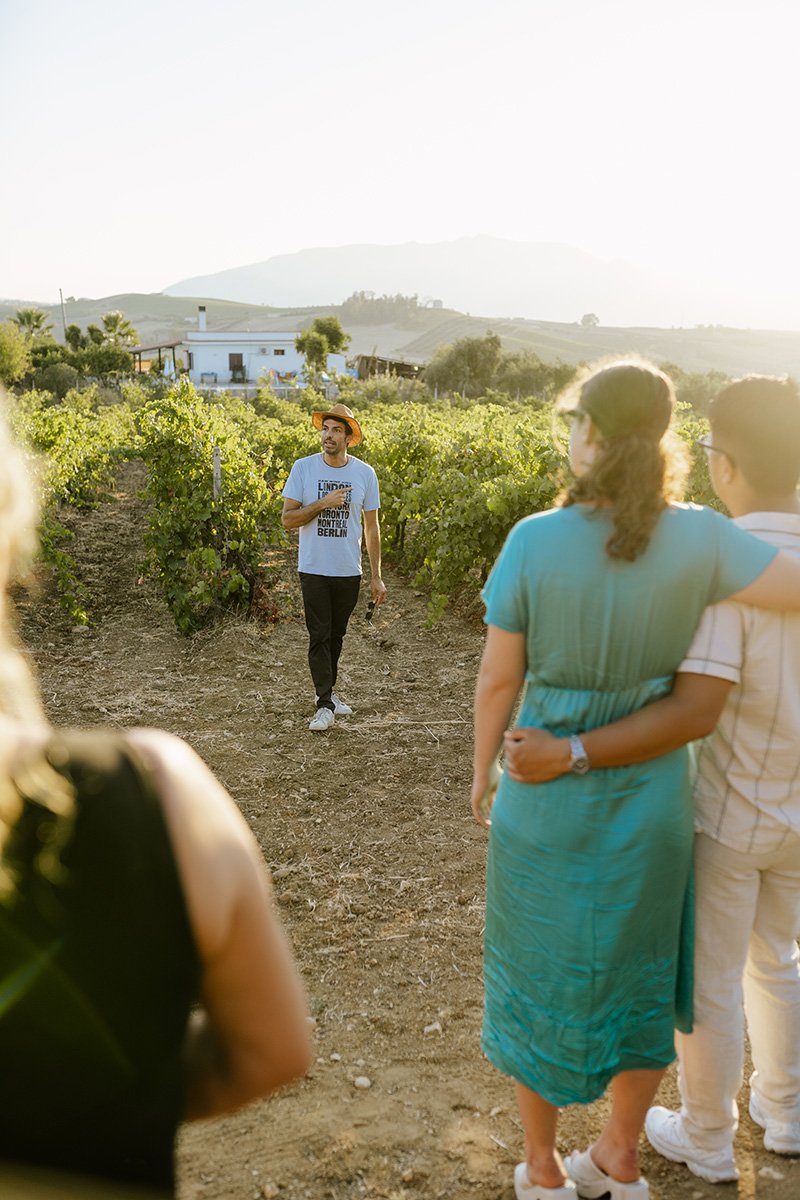 Tour dei vigneti in Sicilia