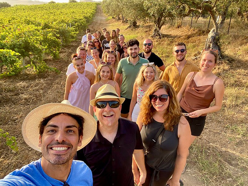 walk in the vineyard - Sicily