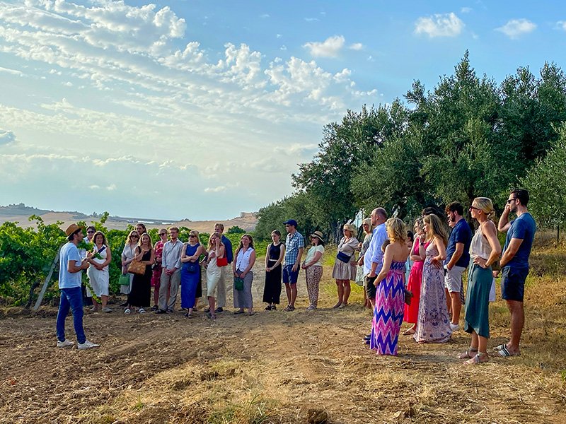 vineyard tour.jpg