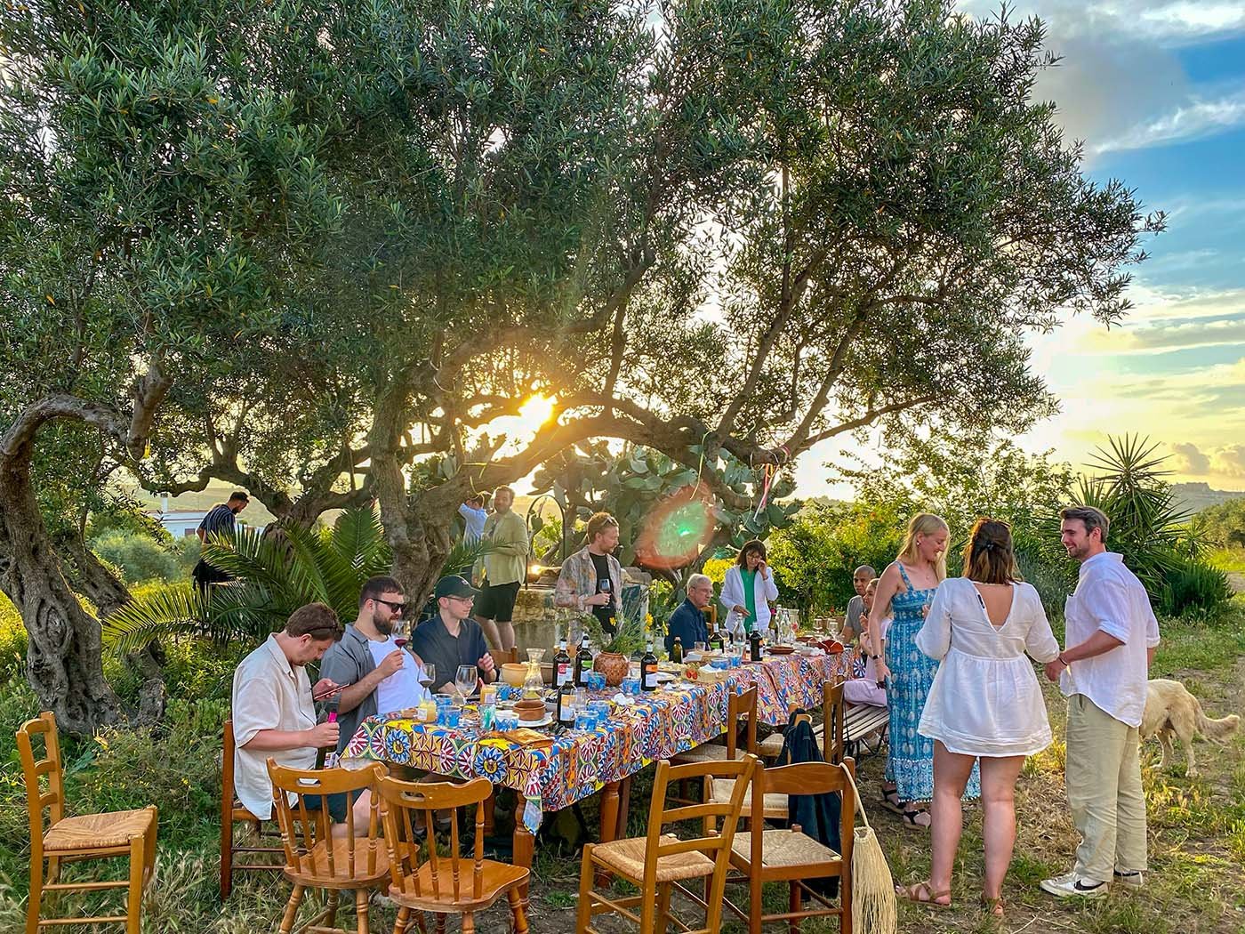 Degustazione di vini in Sicilia - Vini naturali Elios