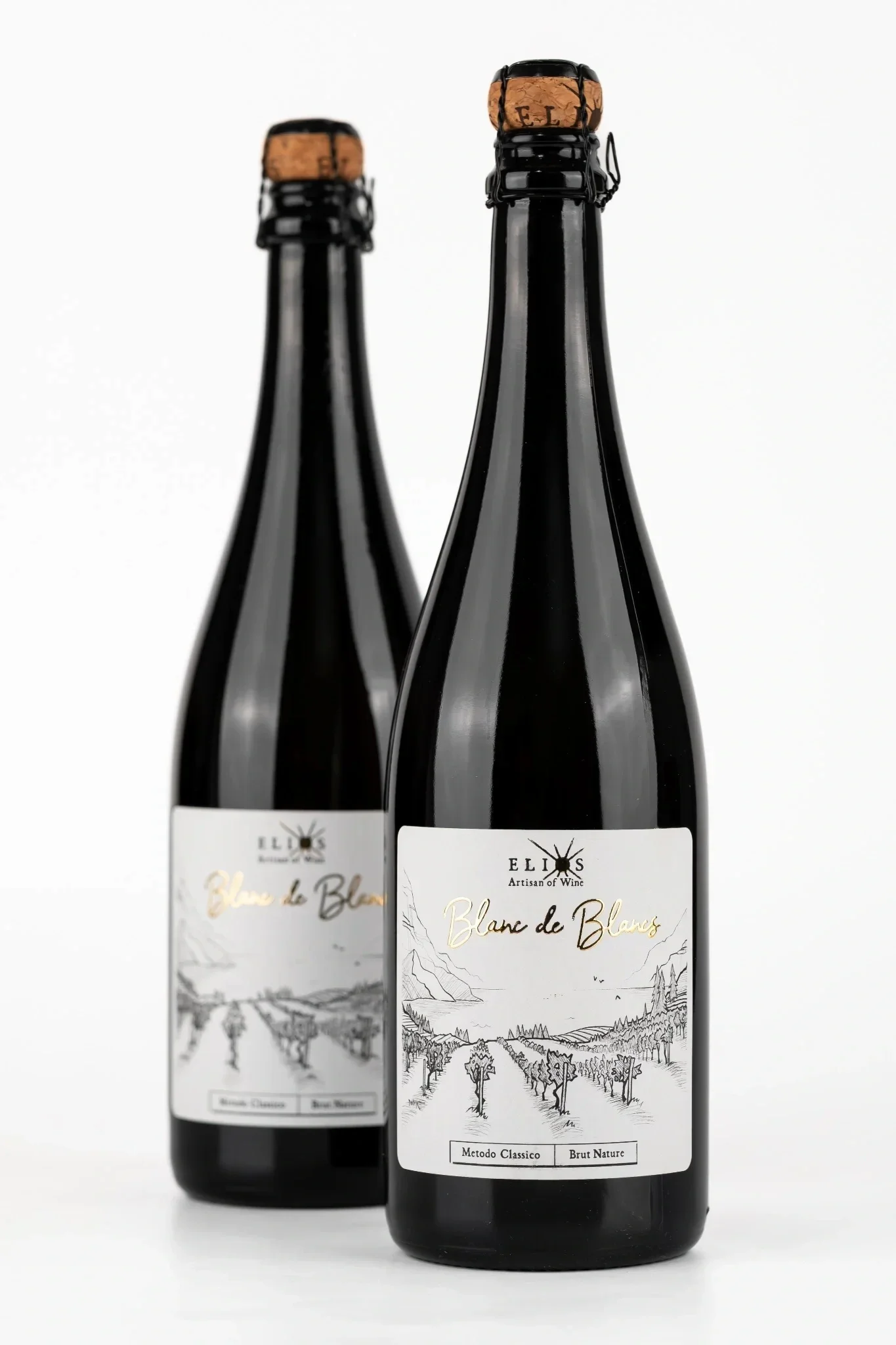 Spumante Blanc de Blancs metodo classico della Sicilia di Elios