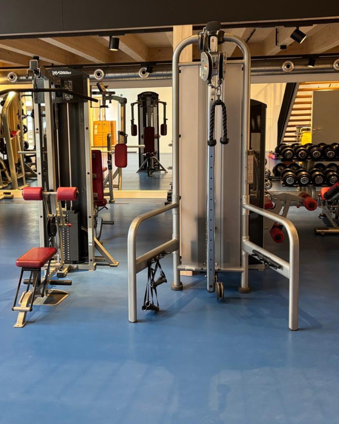 Glasl&ouml;sungen f&uuml;r den Fitnessbereich 💪💙
Ma&szlig;gefertigte Duschverglasungen und Spiegel sorgen f&uuml;r klare Linien, Funktionalit&auml;t und ein hochwertiges Gesamtbild.

Von der Planung bis zur Montage &ndash; alles aus einer Hand.

Gl