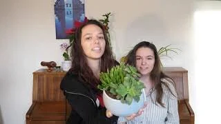 Sunday 3rd January 2021