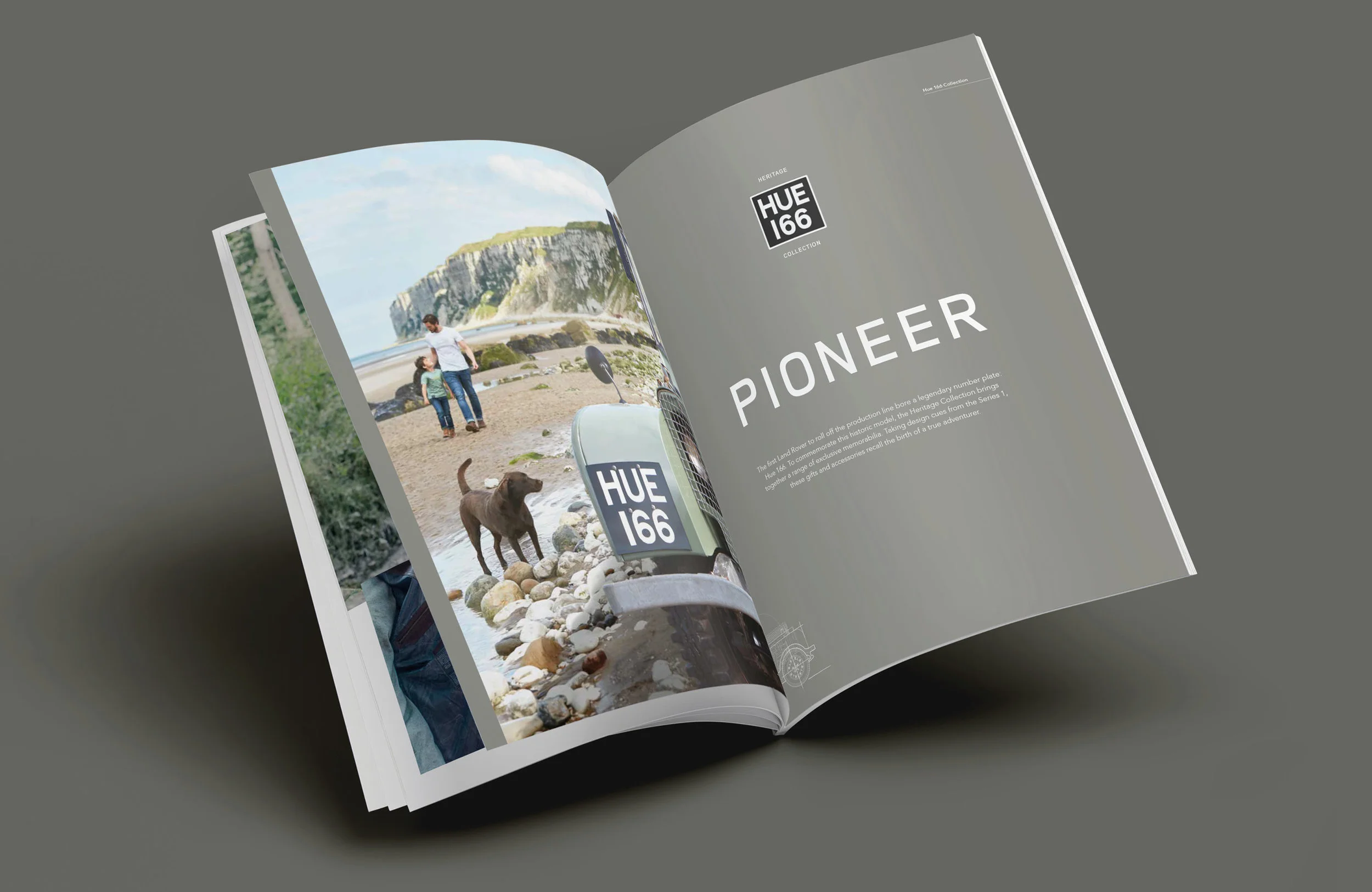 Website Assets8.jpg