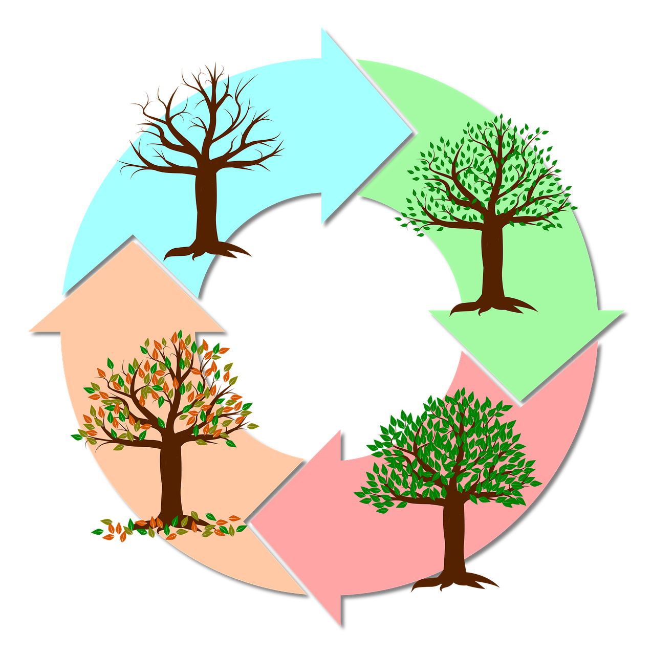 Understanding Change — Alma Entera