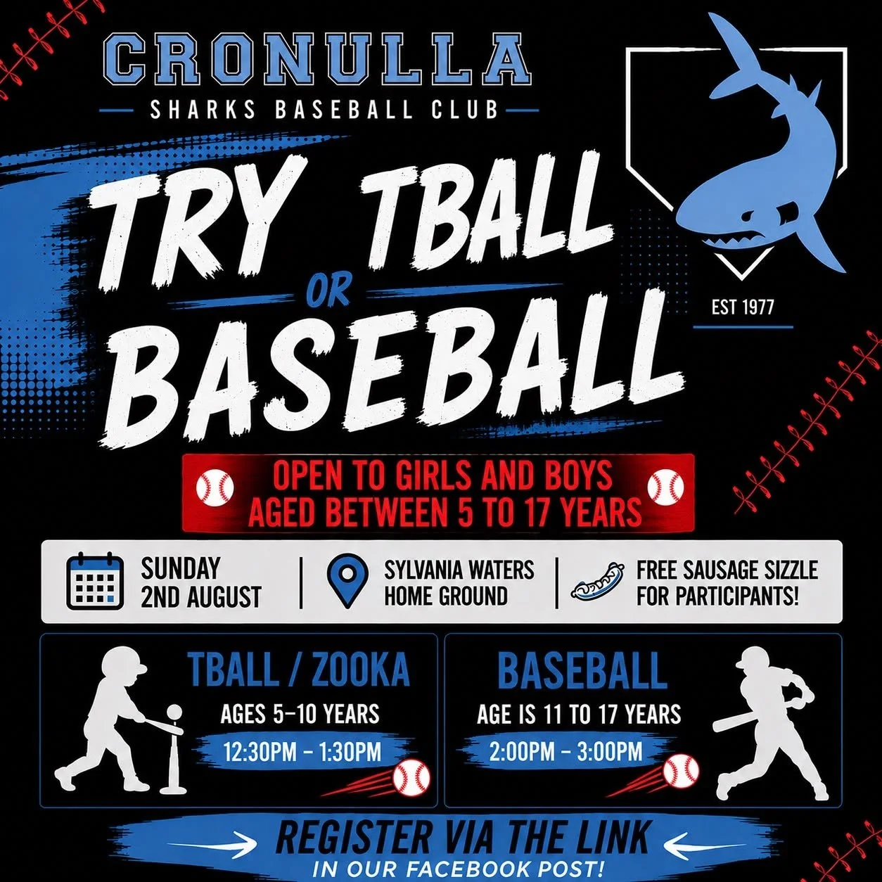 Try Baseball