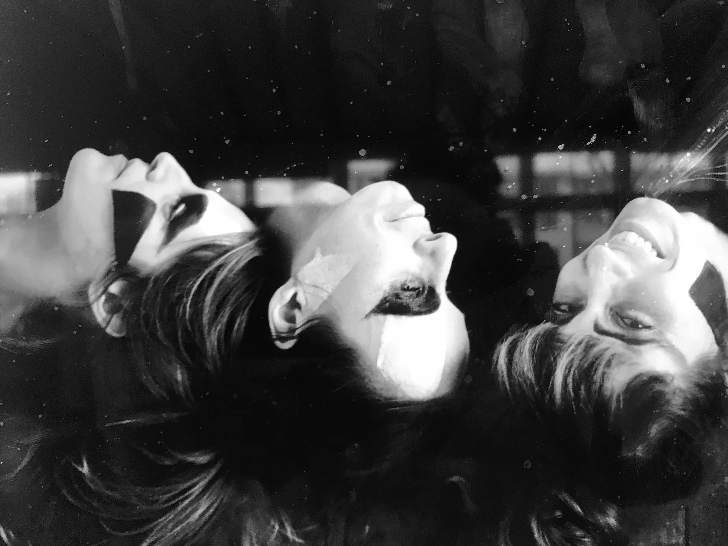 Photo by Paula Rae Gibson