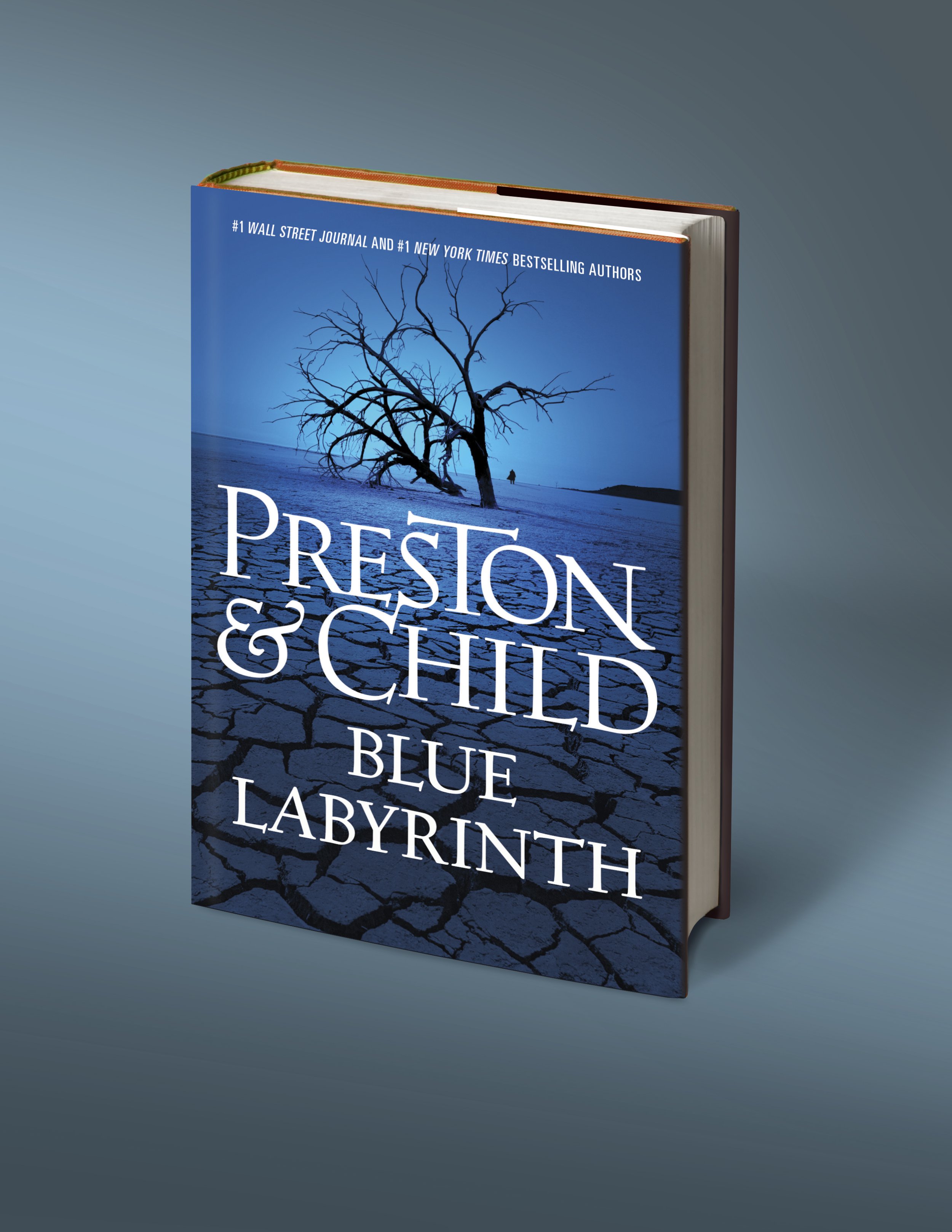 BLUE LABYRINTH.jpg