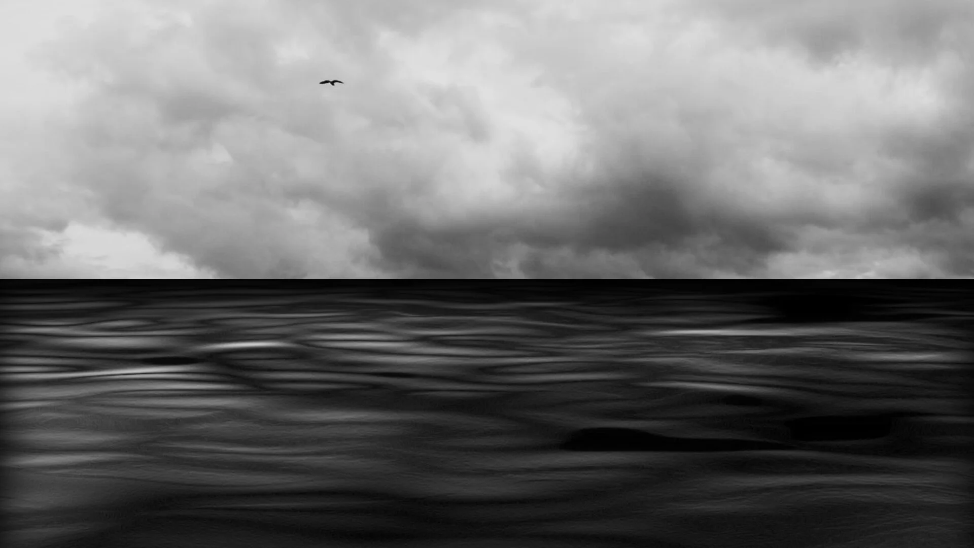 SWAM WEB IMAGE.jpg