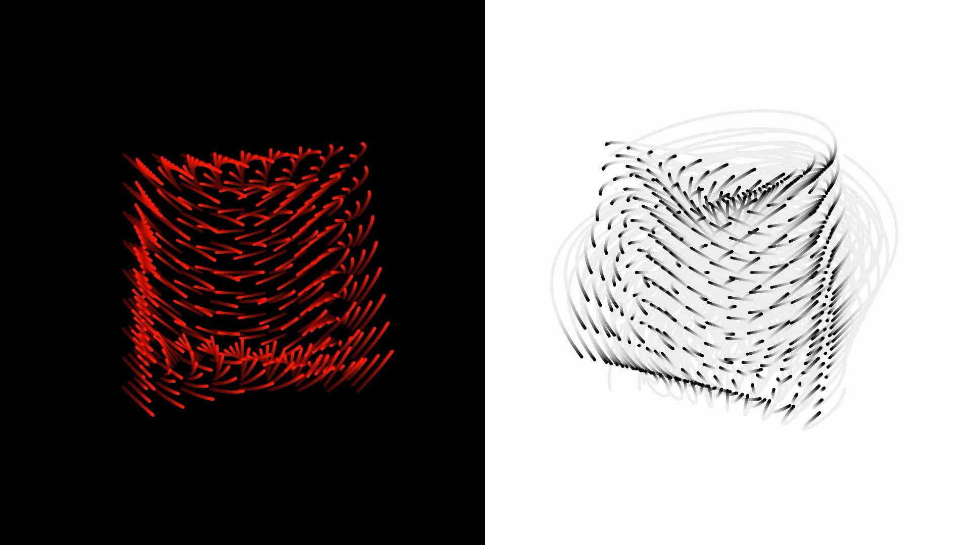 RAD BRAD STILL 5.jpg