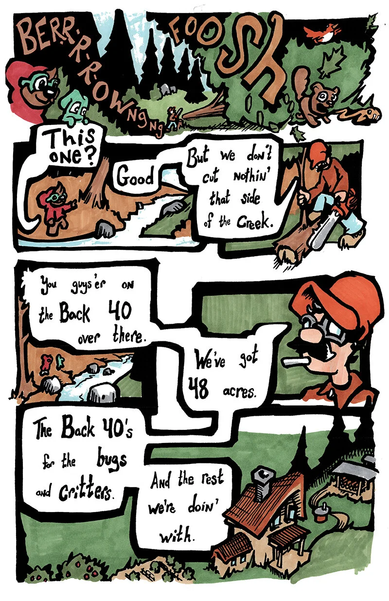 the Back 40 - p02 - color - for Web.jpg