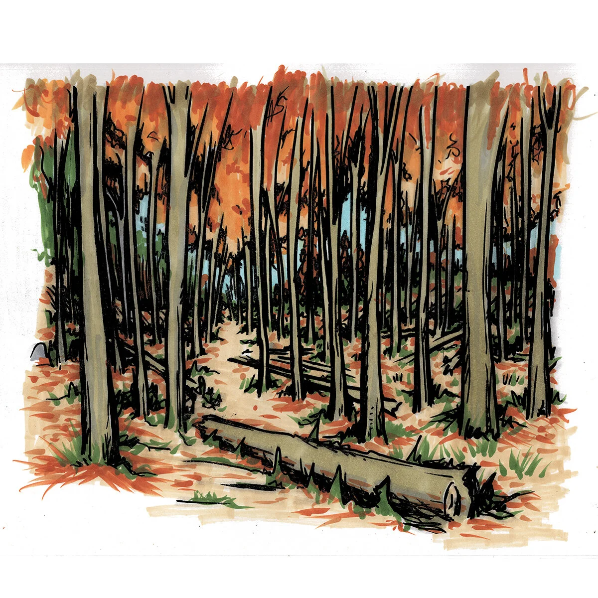 cgothberg2020-11-19 - for Web.jpg