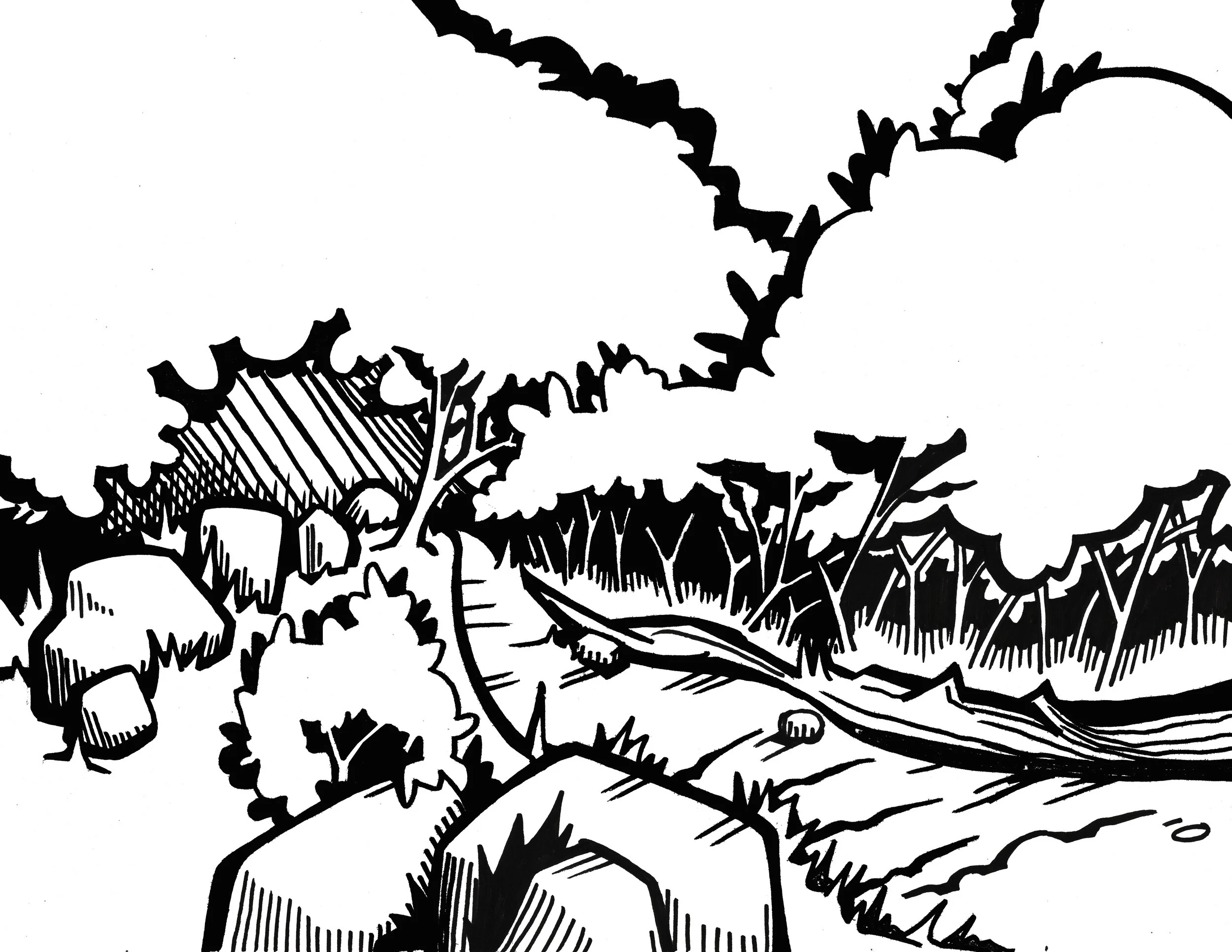 A path for Crabs.jpg