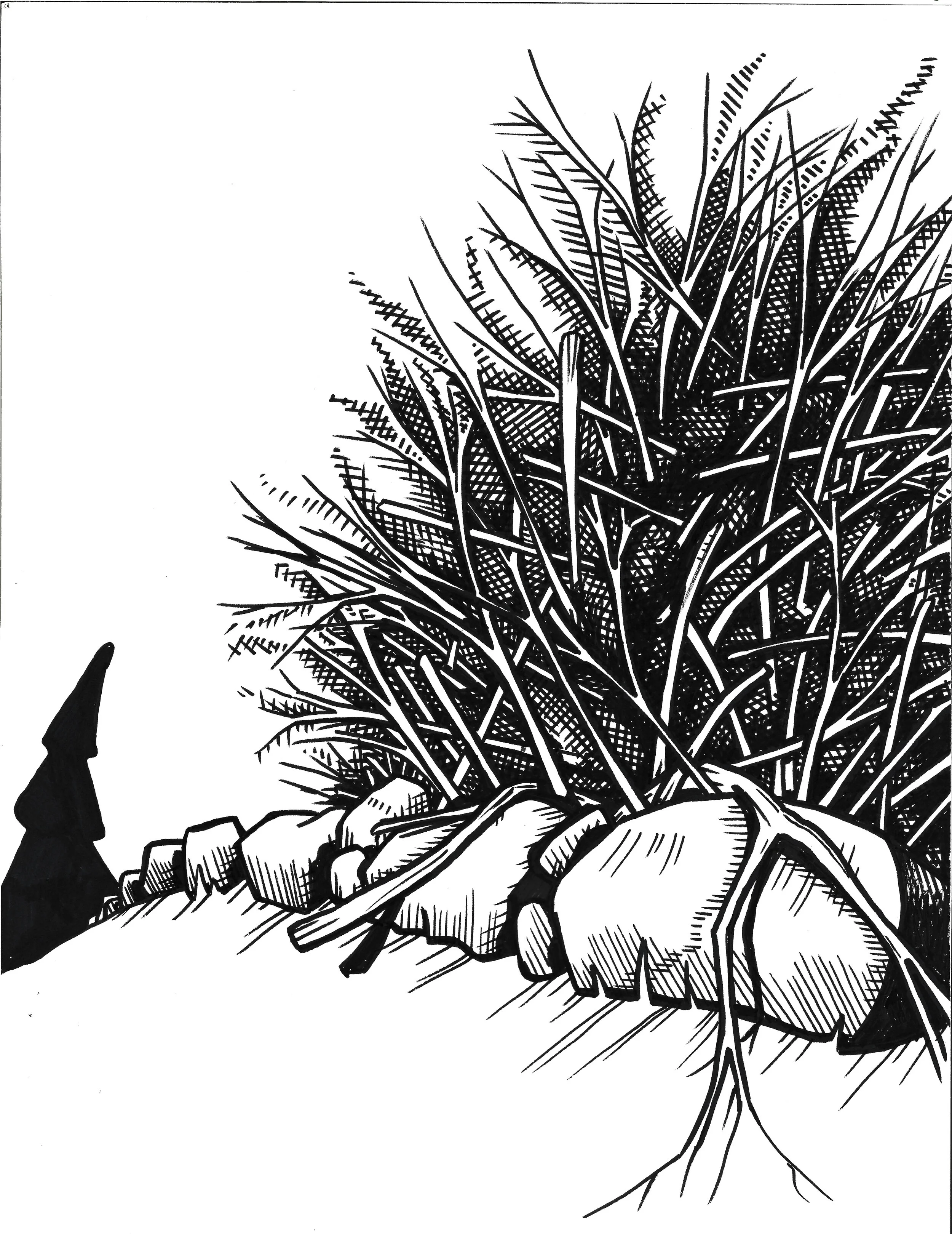 Stonewall with Brushpile.jpg