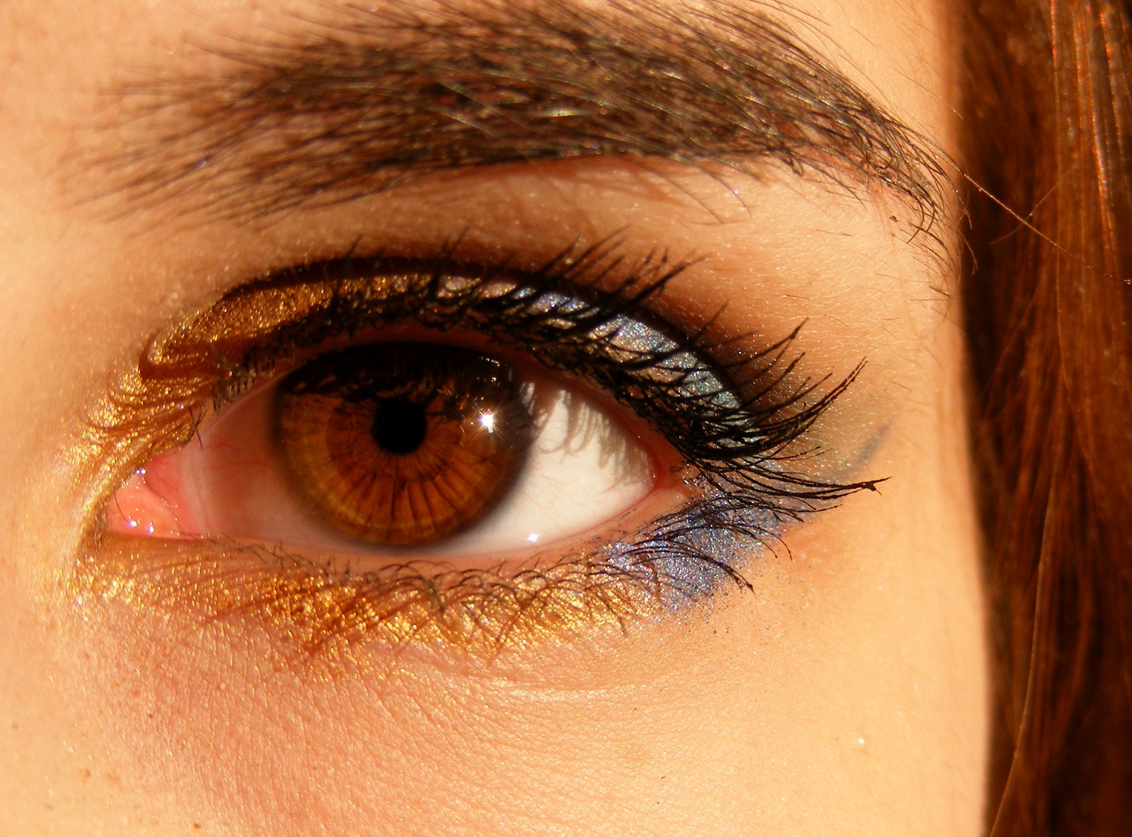 Canva - Human's Eyes.jpg