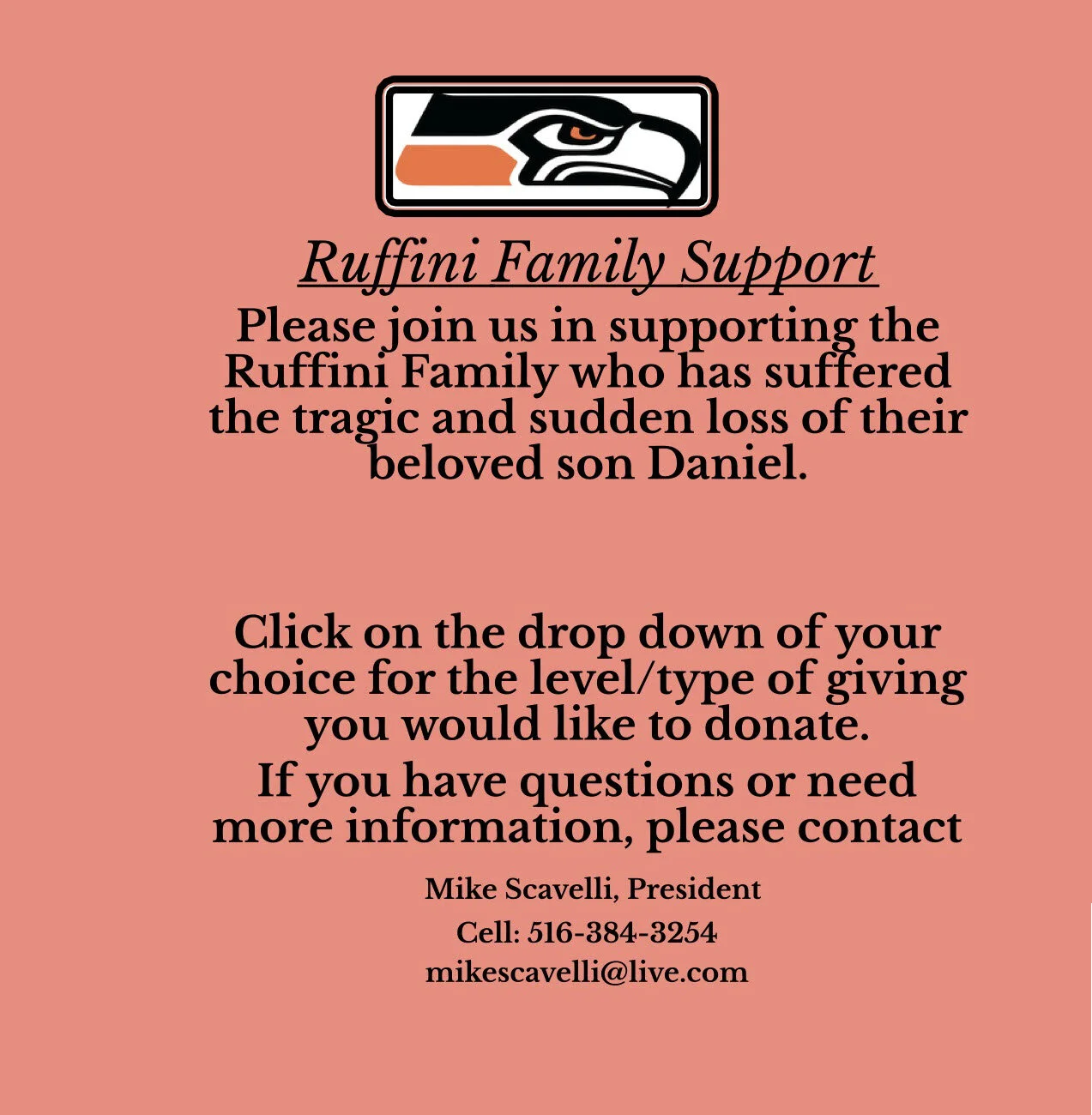 Ruffini Support flyer-cut.jpg