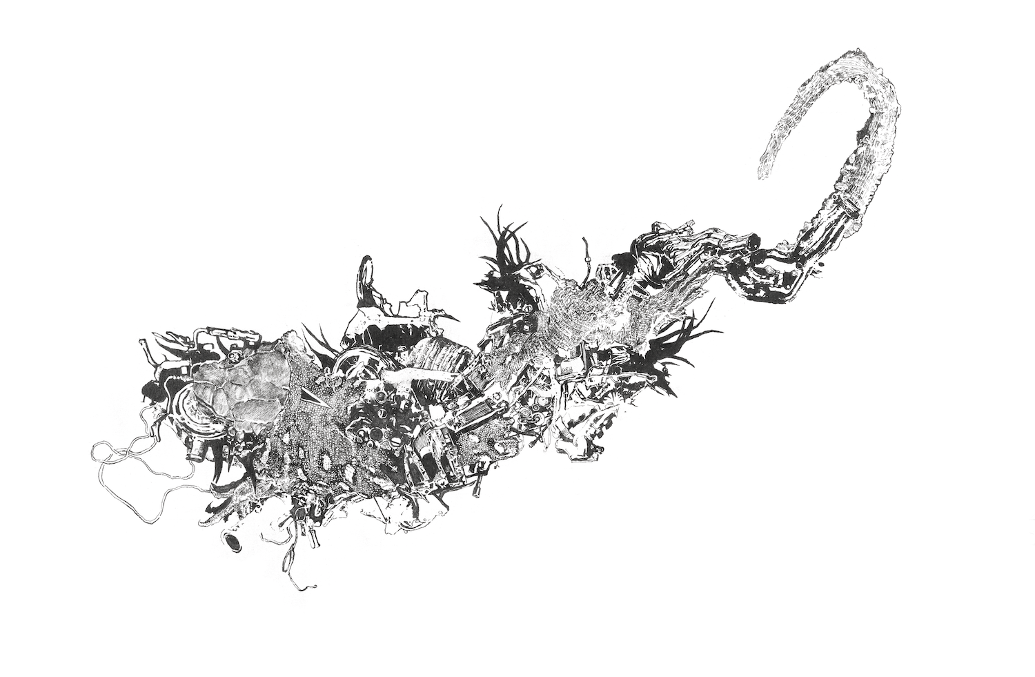 9-Crawl copy.png