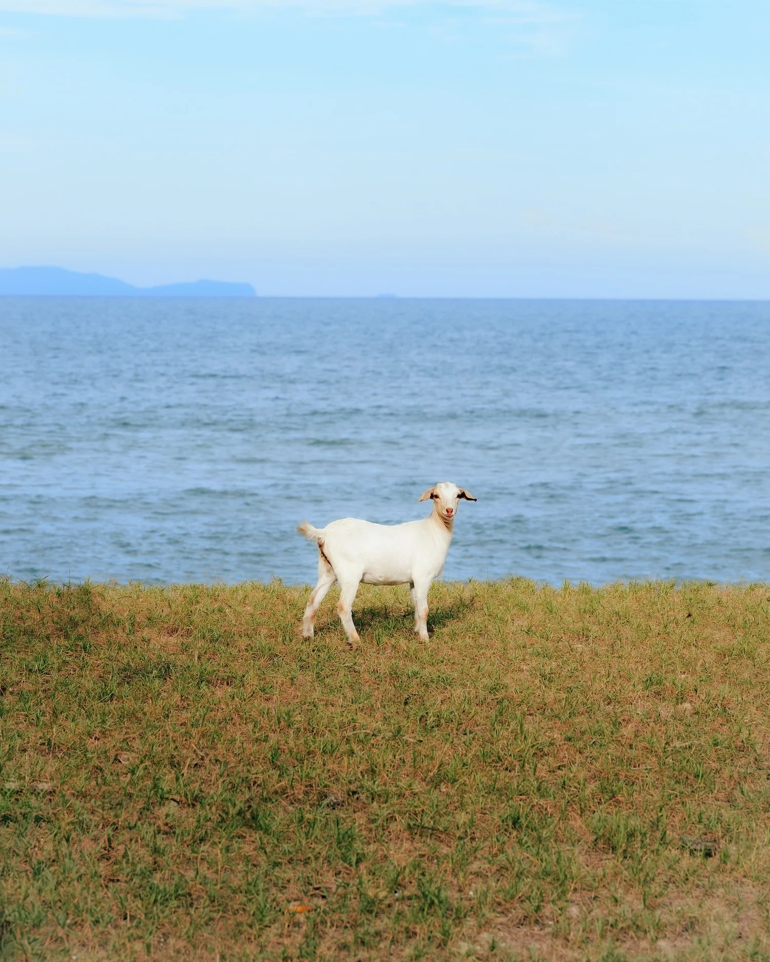 Justincasewegetlost1 copy.jpg