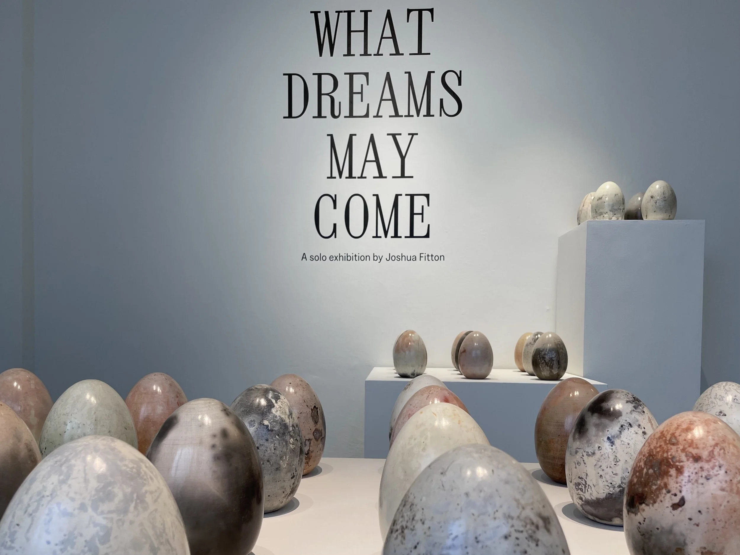 What Dreams May Come by Joshua Fitton
