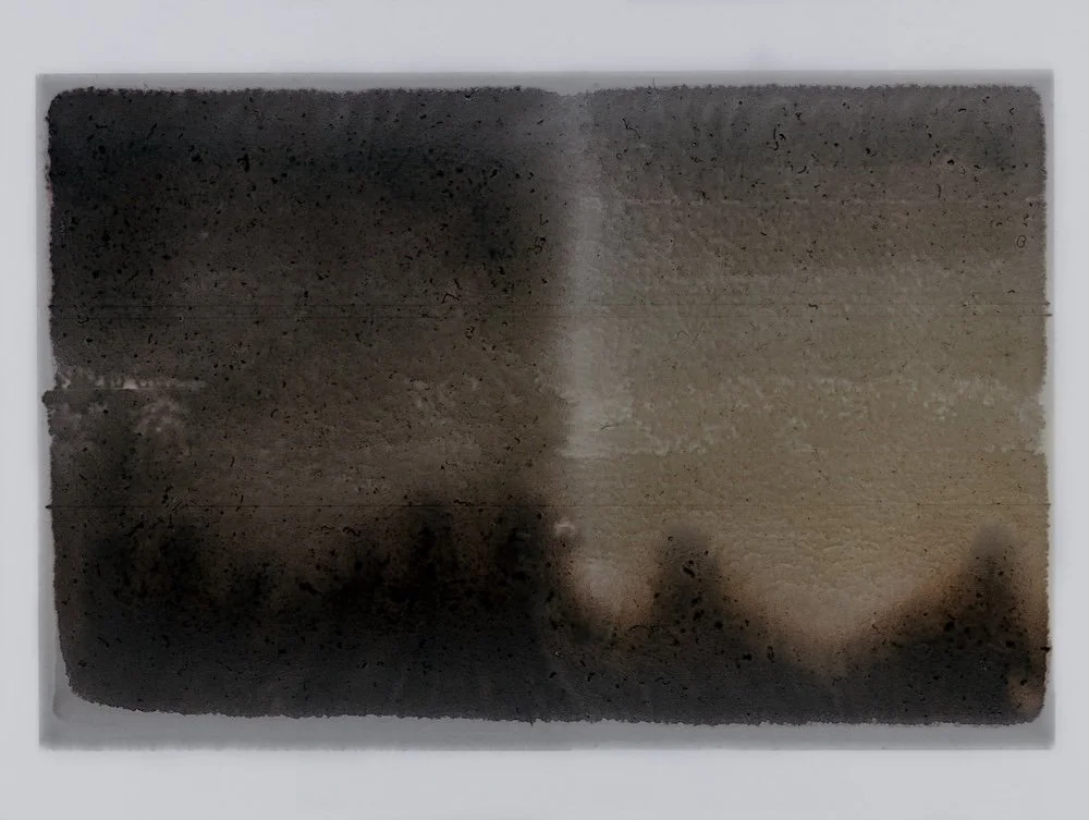   The Forest   2025  Inkjet print  18 × 28 cm 