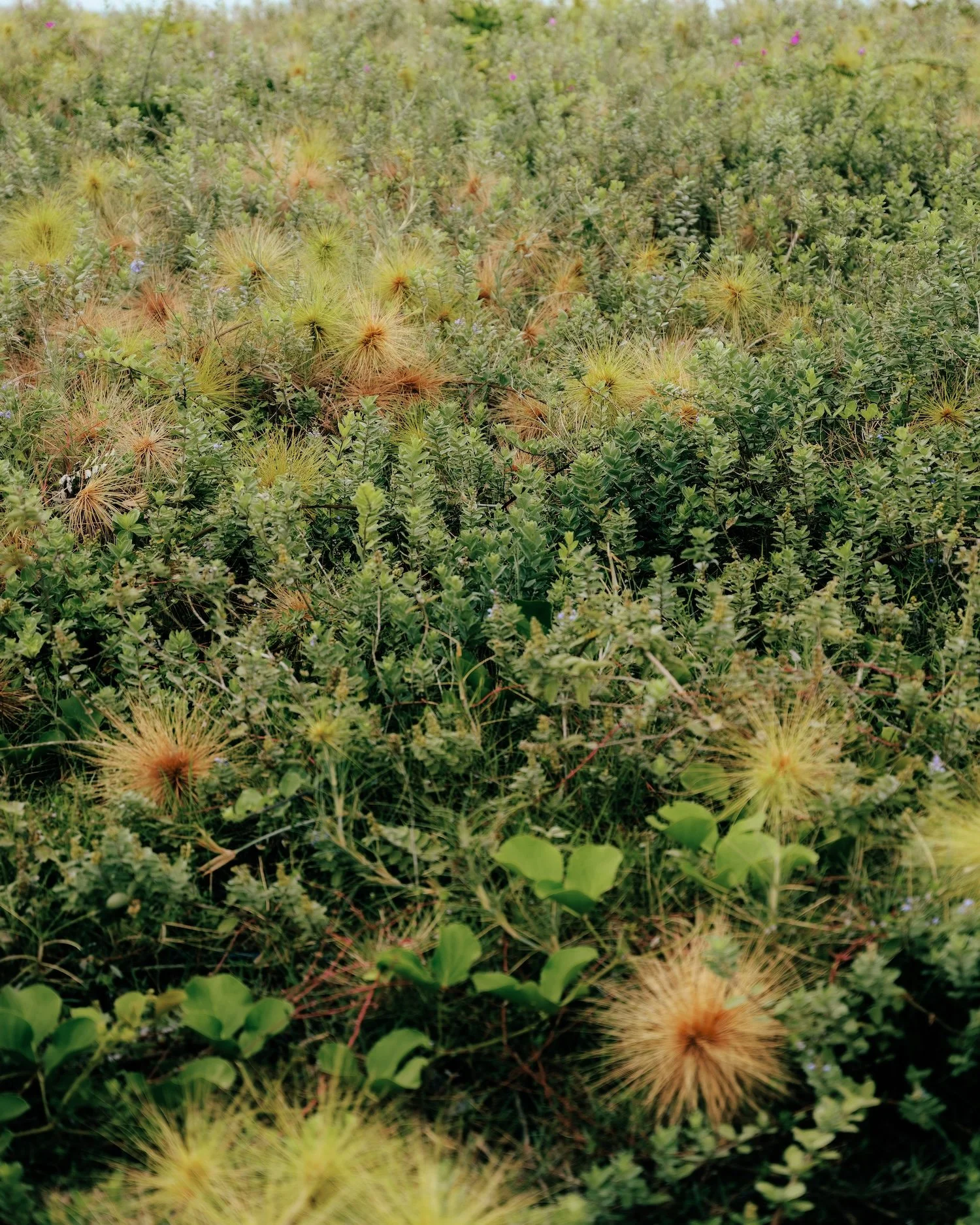 Justincasewegetlost2 copy.jpg