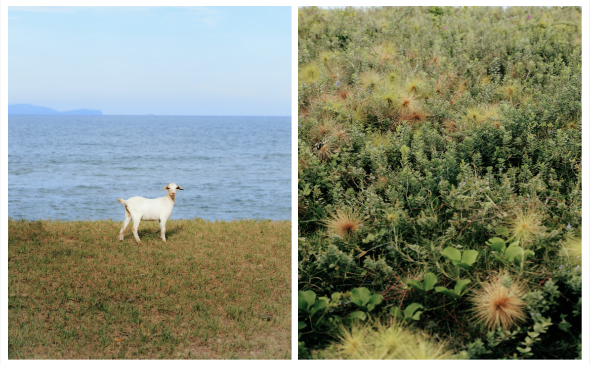 Amani Azlin – Just in case we get lost…