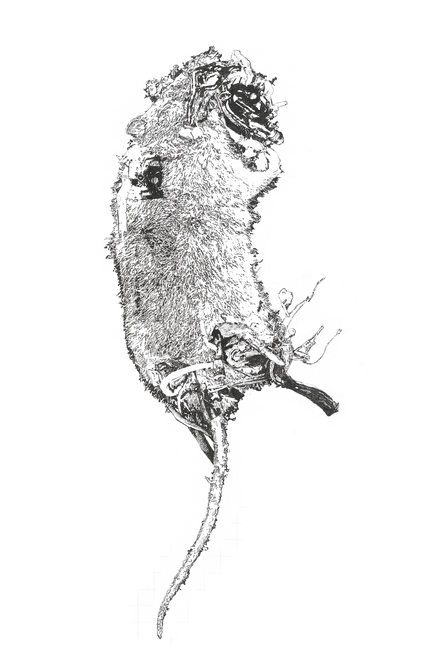 6-Plague copy.png