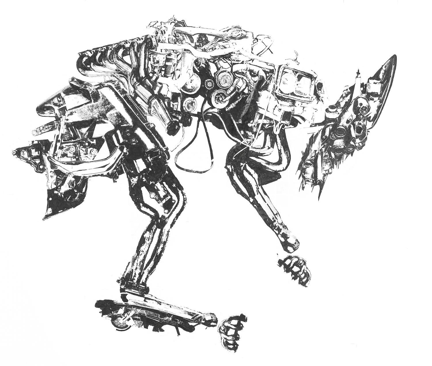 3-Canis copy.png