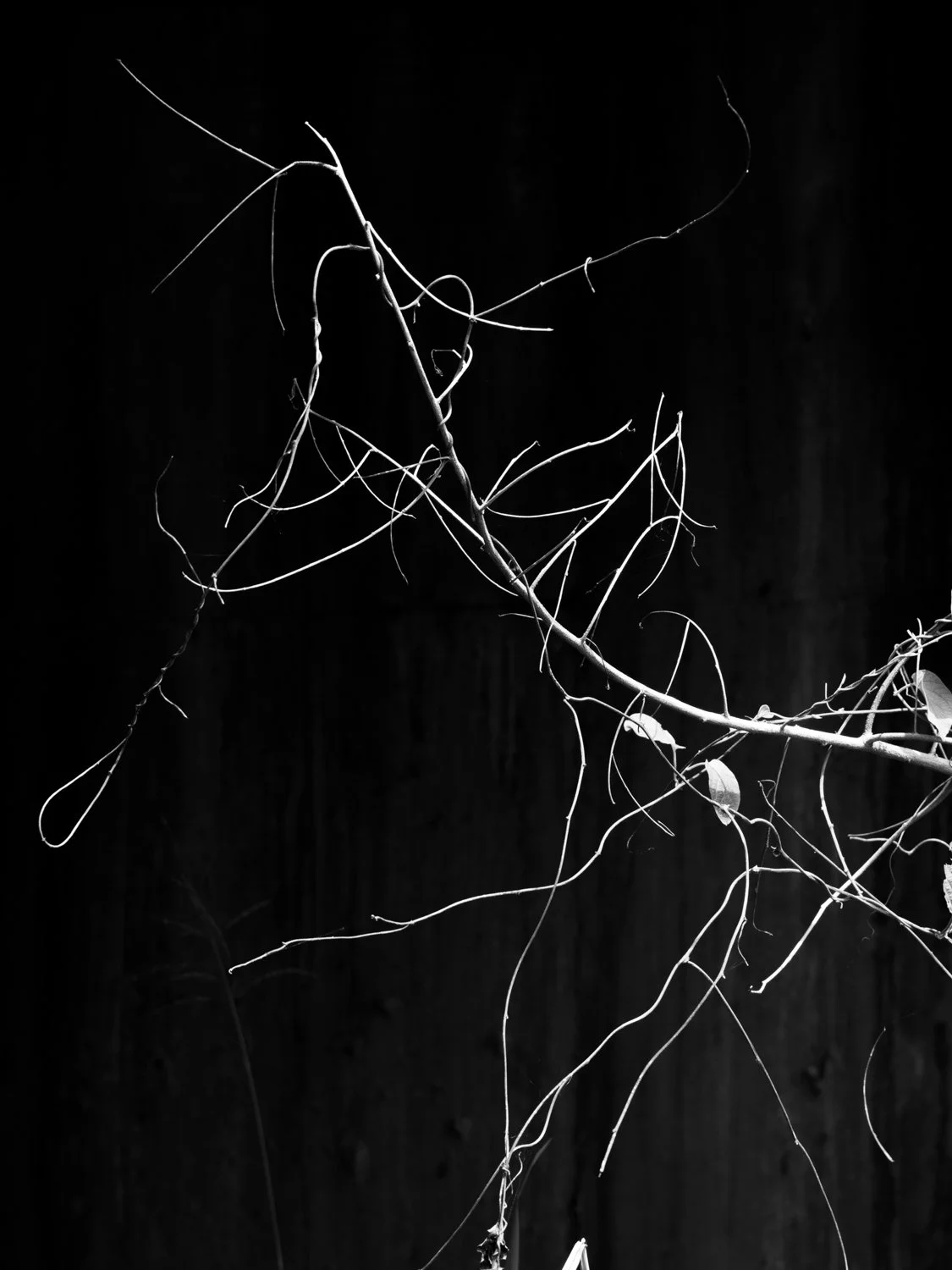 Alvin Lau – Eternal Hours