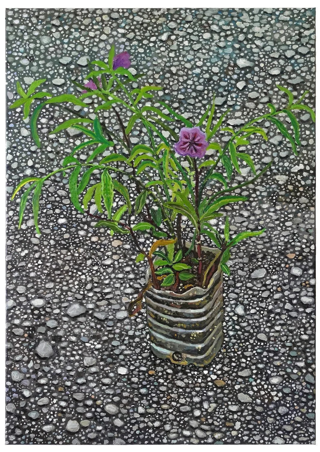 Potted Plant with Purple Flowers on Asphalt_2024_Oil on canvas_84 × 60 cm.JPG
