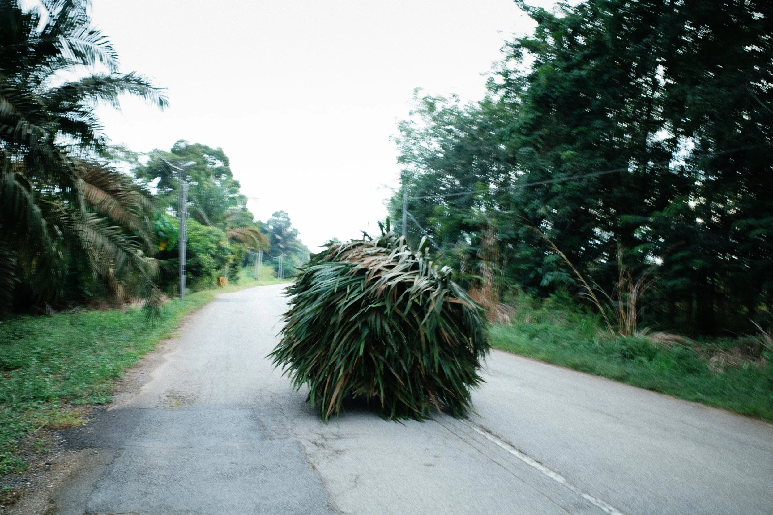 Amani Azlin – Never hurry the world