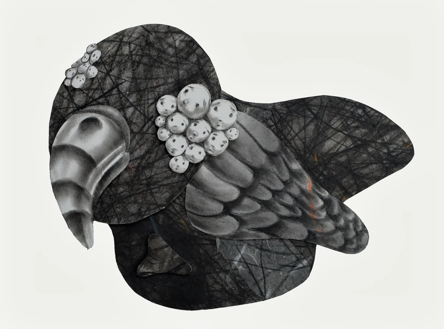 bird view, 39 x 31 cm, charcoal, softpastel, pencil, aluminum on paper, 2026.jpg