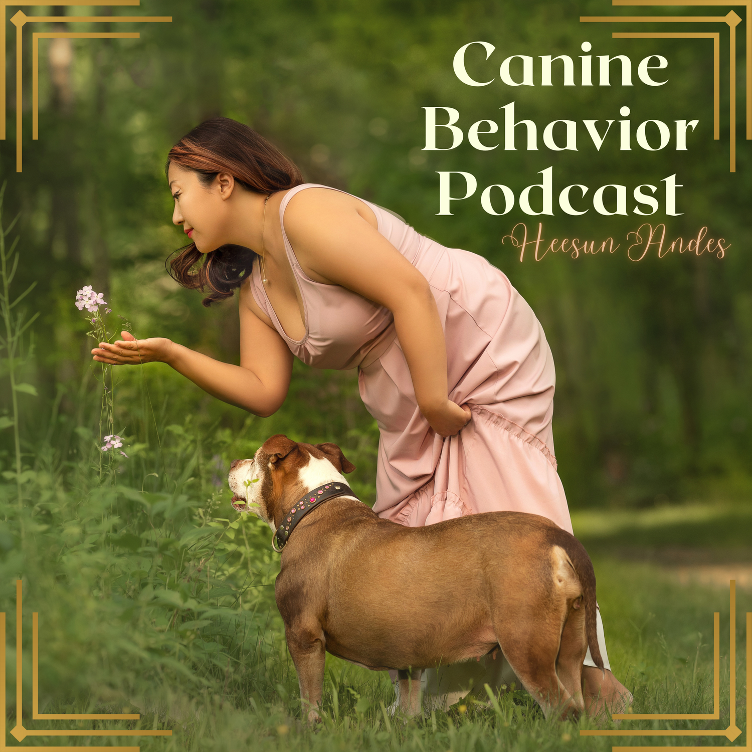How I Got Started in Dog Behavior Canine Behavior 001