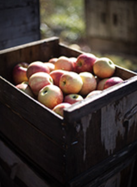 Franklin County CiderDays