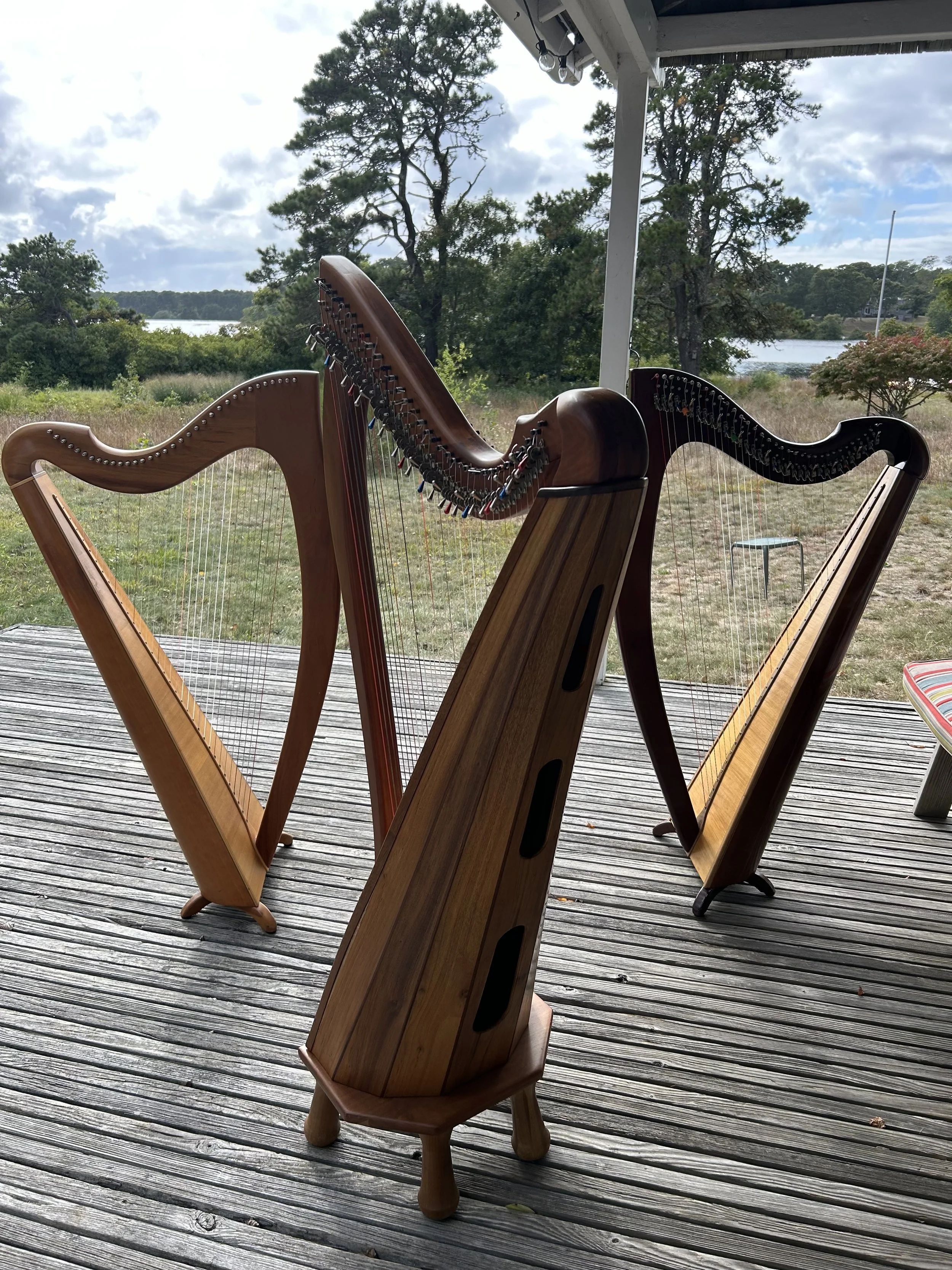 Valley Harp Trio