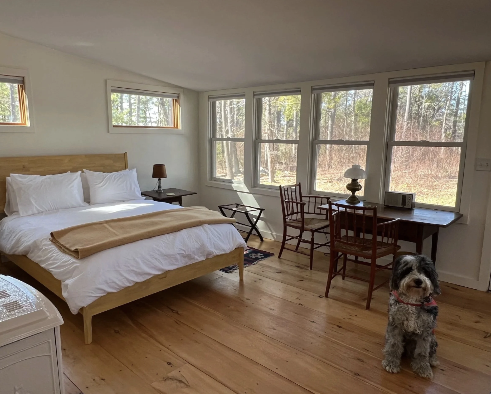 Bedroom in rustic cabin in New Salem MA with queen bed and dog