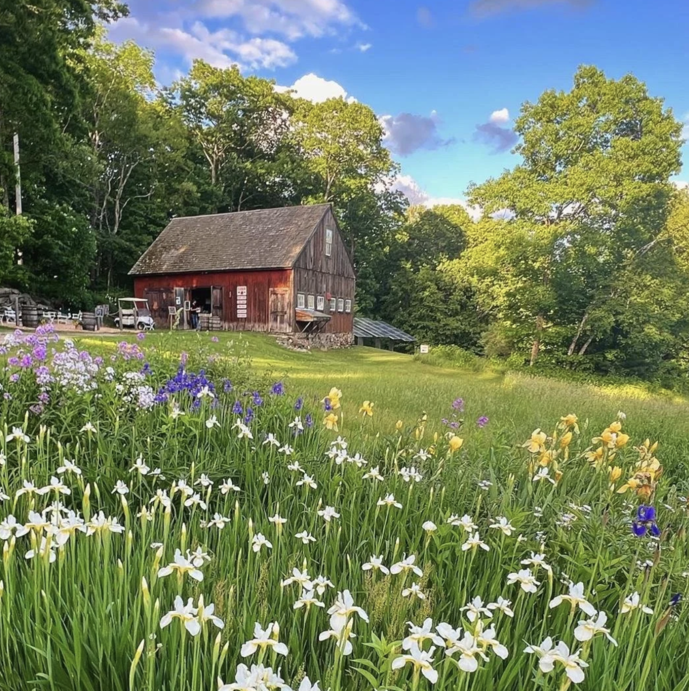 Cidery barn in New Salem Massachusetts with field and flowers