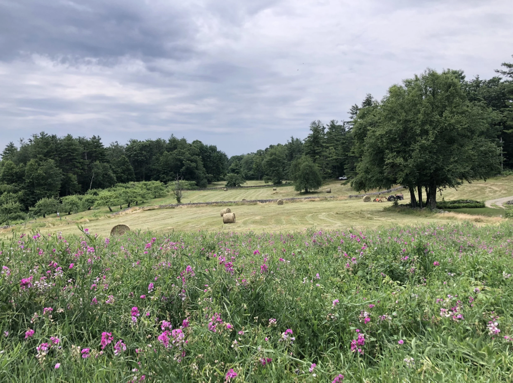 Open fields with tractor and hay bales at cidery in New Salem Massachusetts
