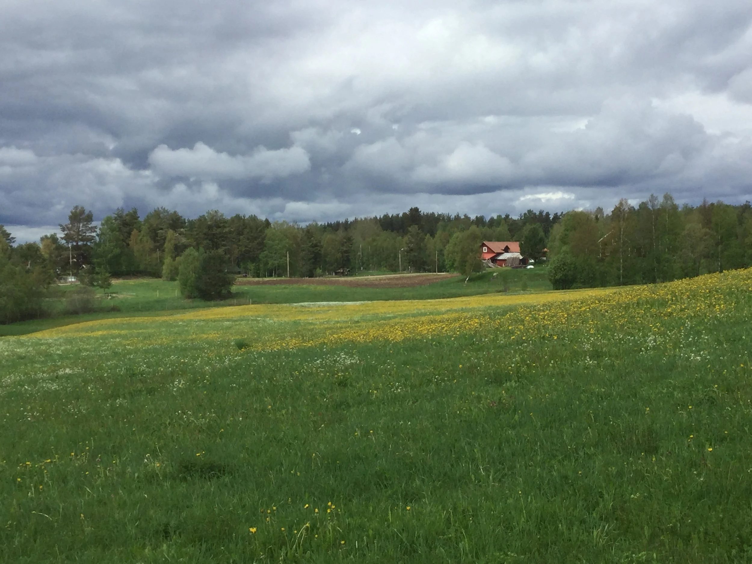Spring in Dalarna.JPG
