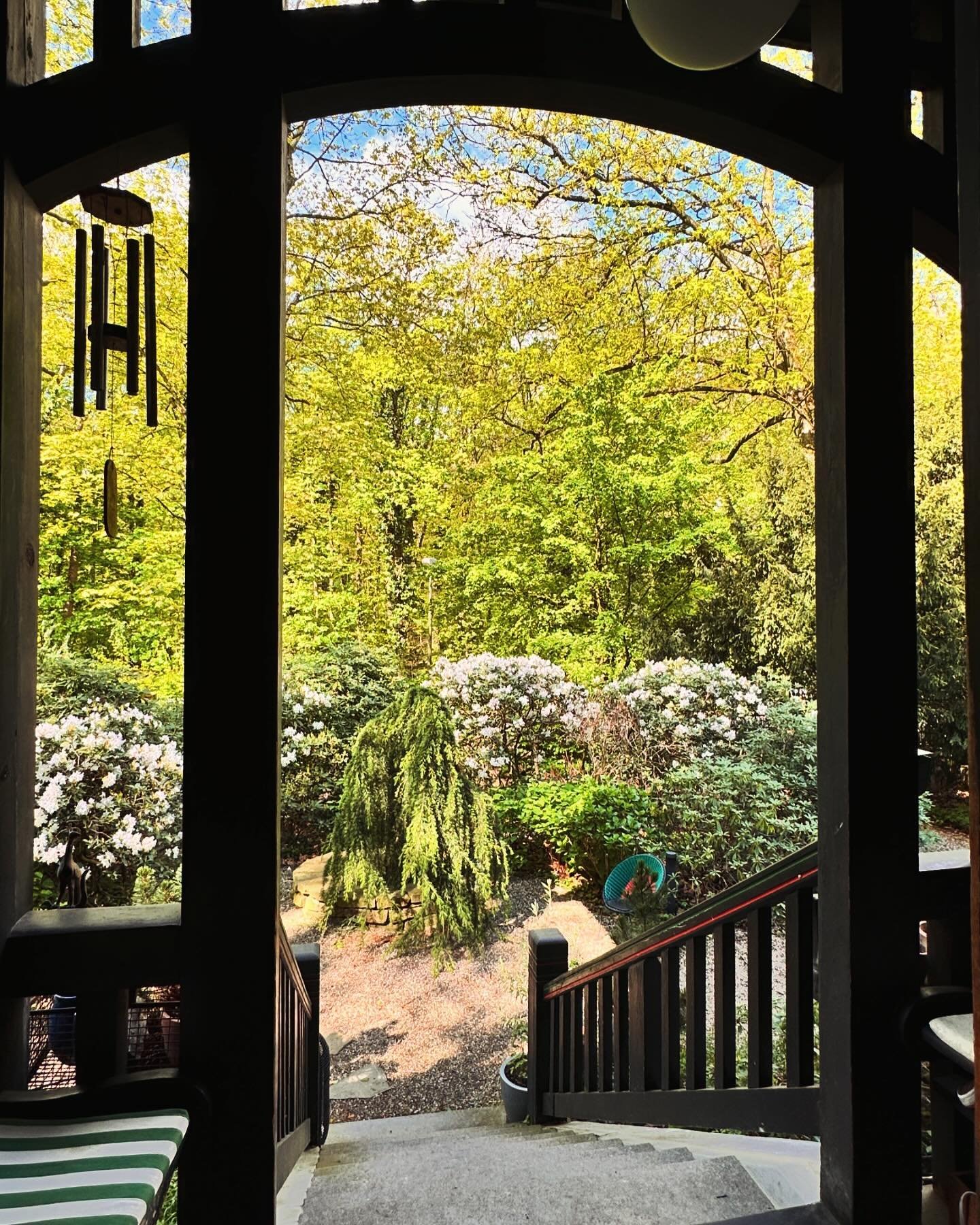 Dinge, die mir erst jetzt auffallen. Der Blick aus der Haust&uuml;re im Waldfrieden auf meinen Vorgarten und den Wald vor meiner Haust&uuml;re. Hinter dem Wald liegt der Zoo Duisburg und der Tiger 🐅 , der so best&auml;ndig und laut r&uuml;berbr&uuml