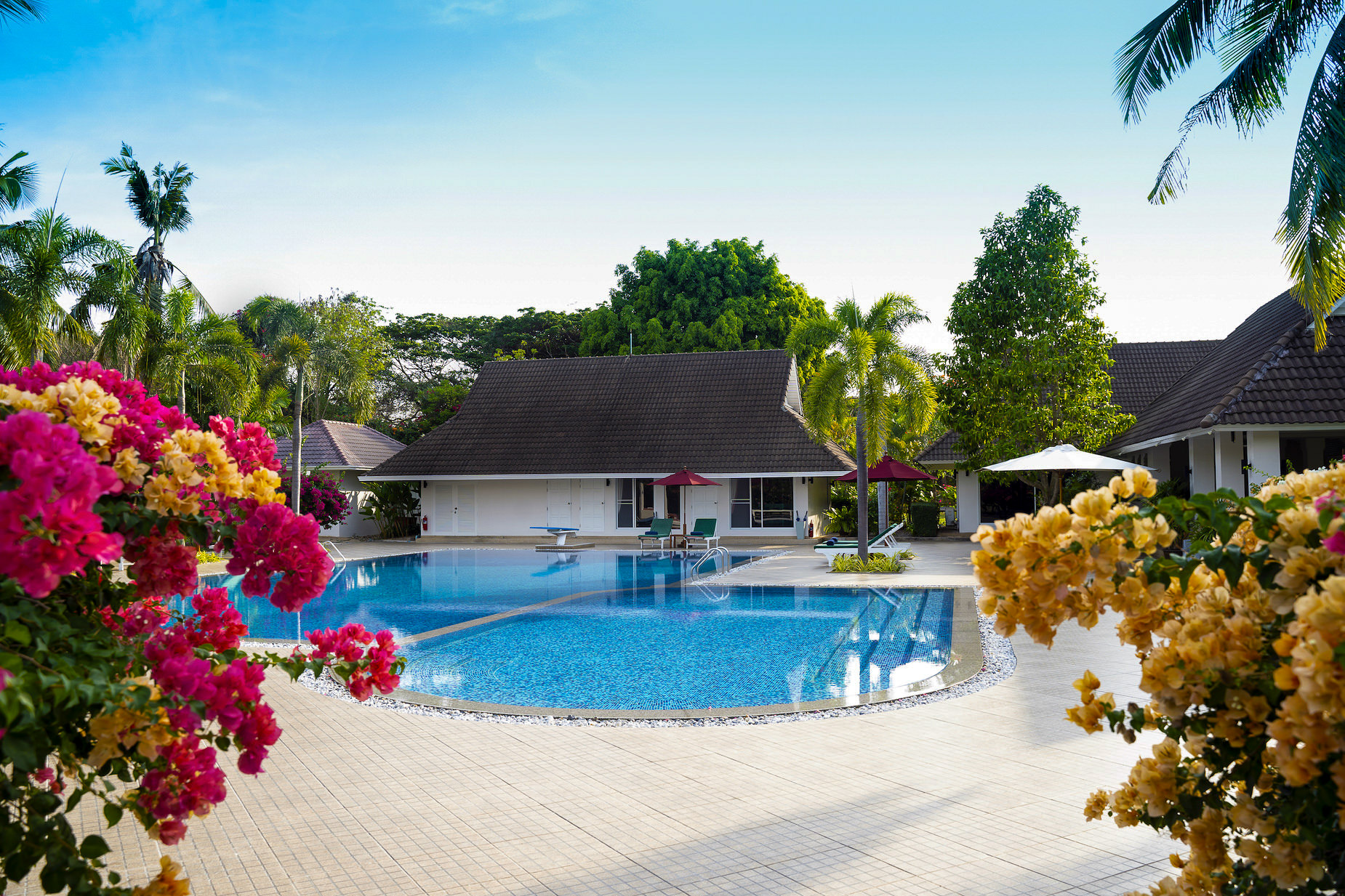 4. Pool2-4.jpg