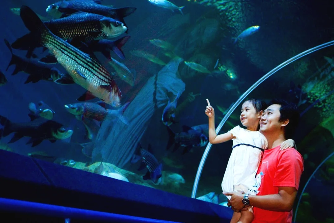 Underwater World Pattaya