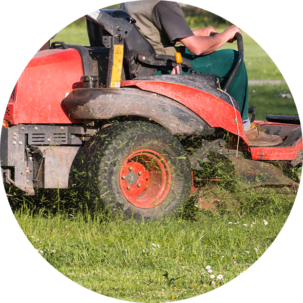 Lake Conway Landscaping